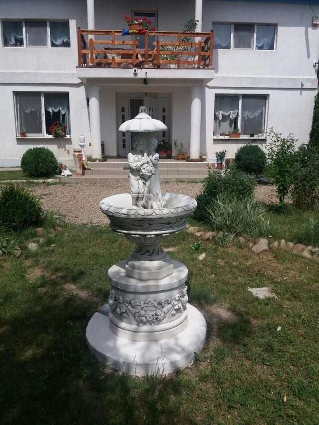 Гостевой дом Perla Neagră Lotus Spa Câineni-Băi-30